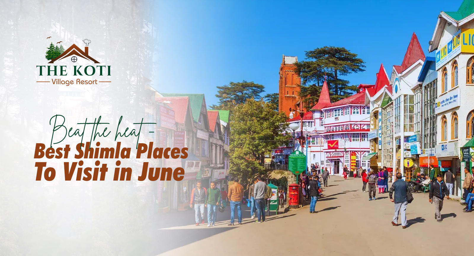 Beat the heat – best shimla places to visit in june