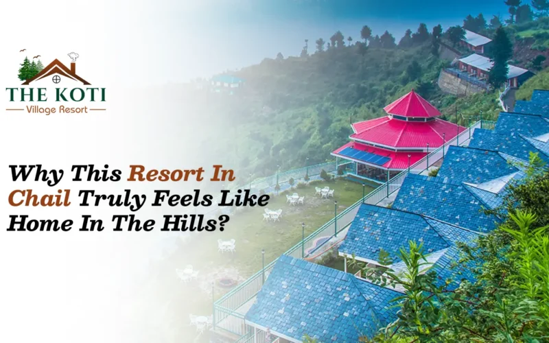 Why this resort in Chail truly feels like home in the hills