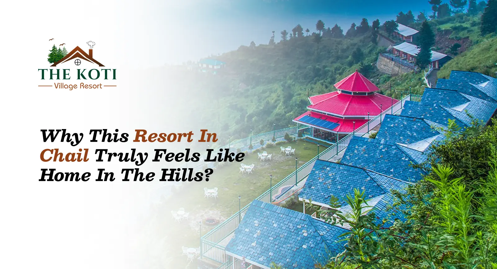 Why this resort in Chail truly feels like home in the hills