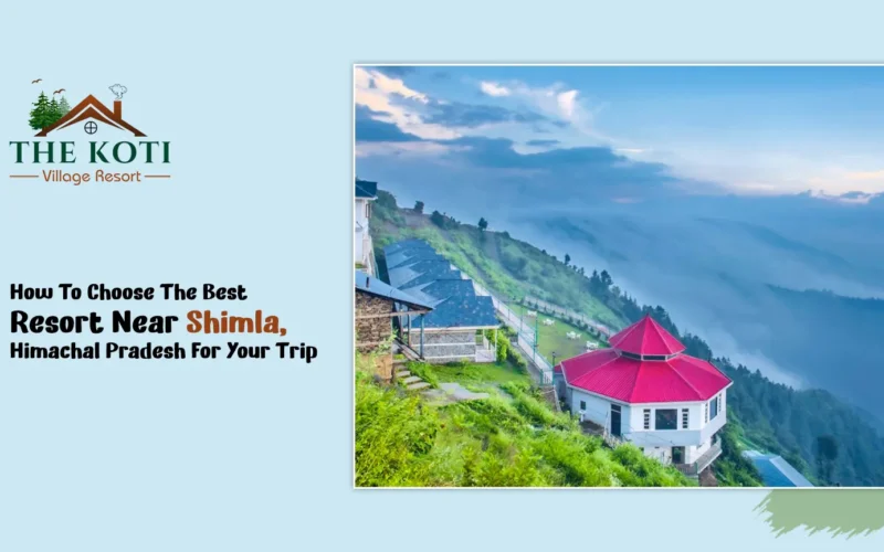 How to Choose the Best Resort Near Shimla, Himachal Pradesh for Your Trip
